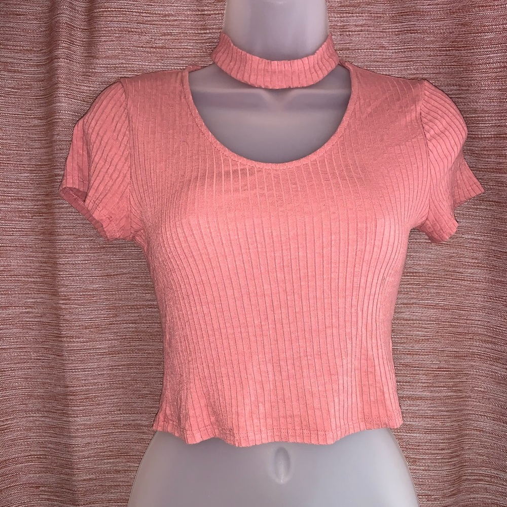 Blush Crop top with choker